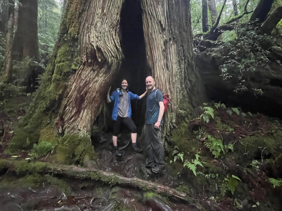 Yakushima Experience - Private Tour-屋久岛町必去景点