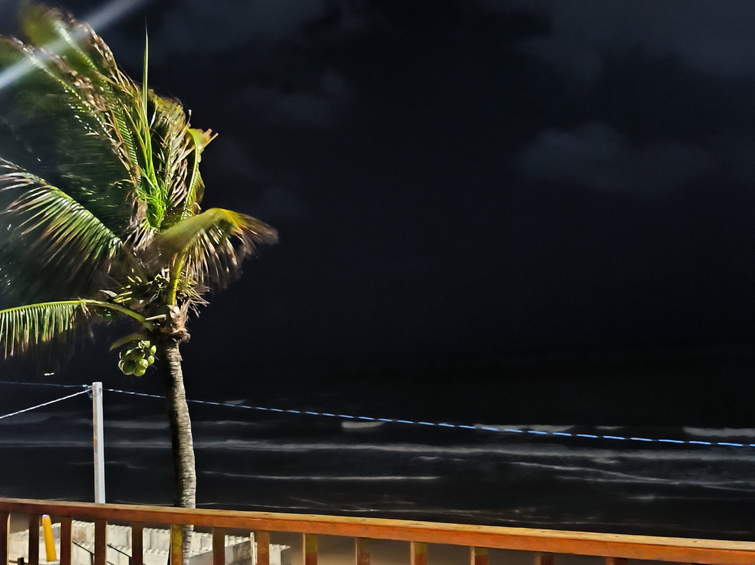 Manary Praia Hotel主图