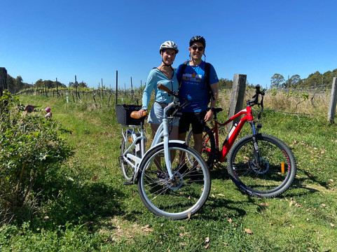 Grapemobile Bicycle Hire & Tours-波高尔宾必去景点