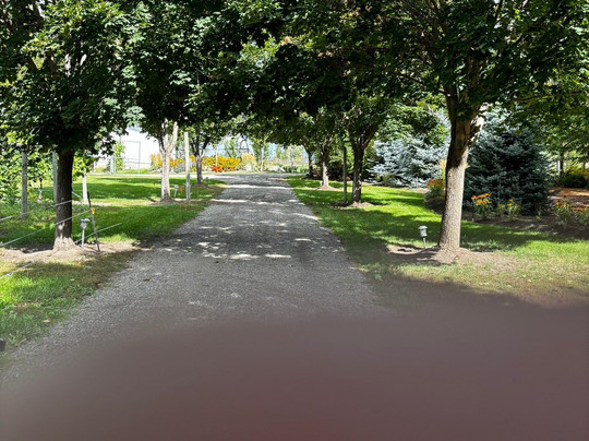 DiVine Tours-坎卢普斯必去景点