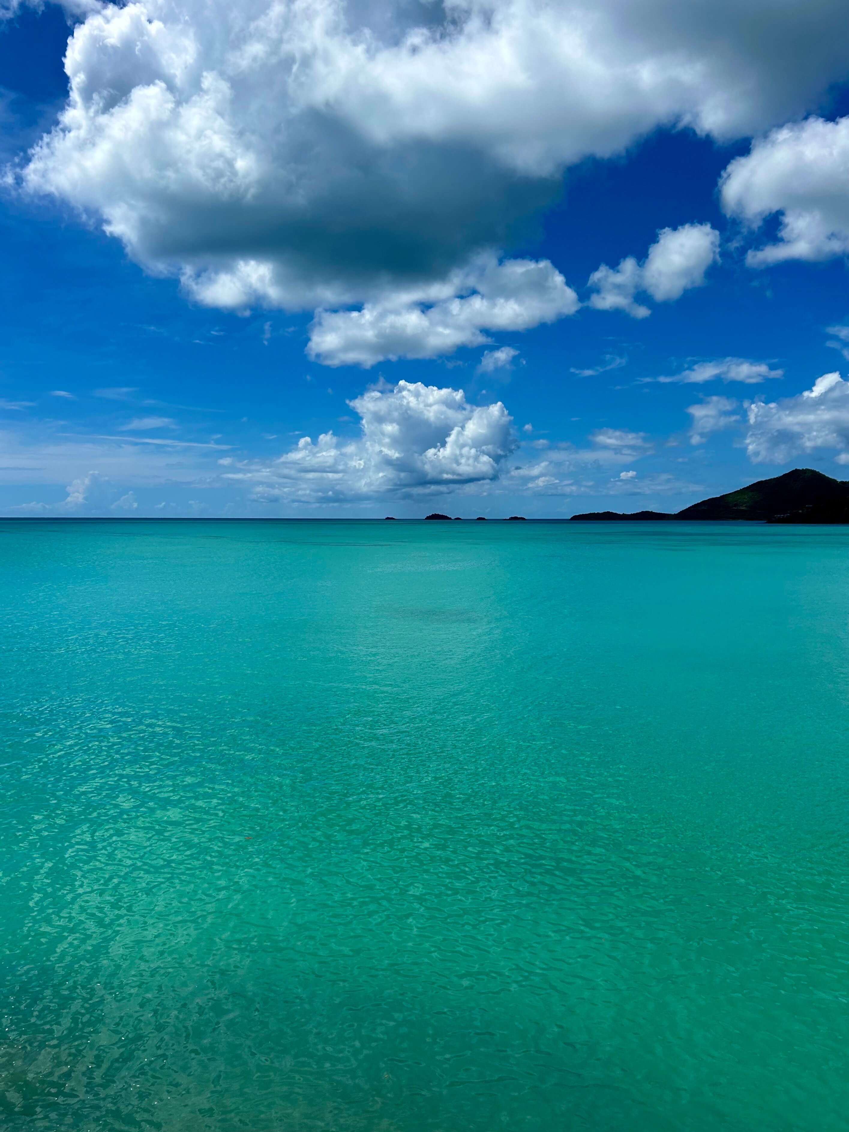 COCOS Hotel Antigua-泳池
