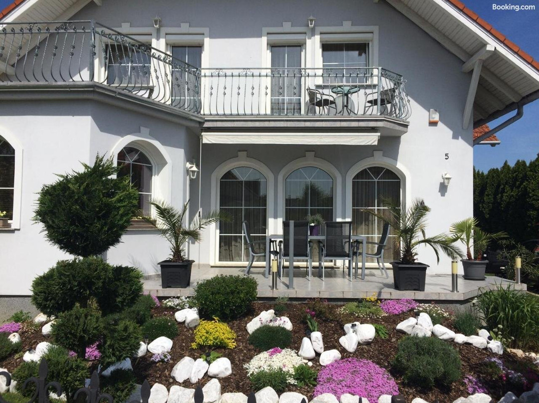 Judit Vendeghaz主图