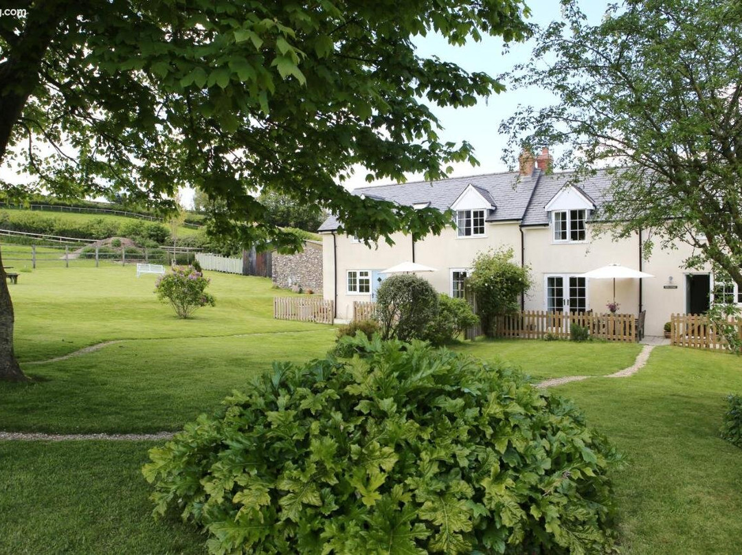 Meet the llamas at a Somerset Cottage