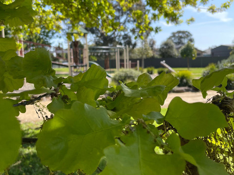 Birch Place Playground-塞尔必去景点
