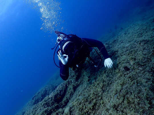 Aquasport Dive Center-库萨达斯必去景点