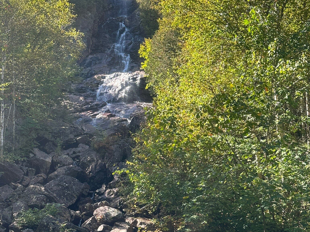 Agawa Canyon Park-Algoma Mills必去景点