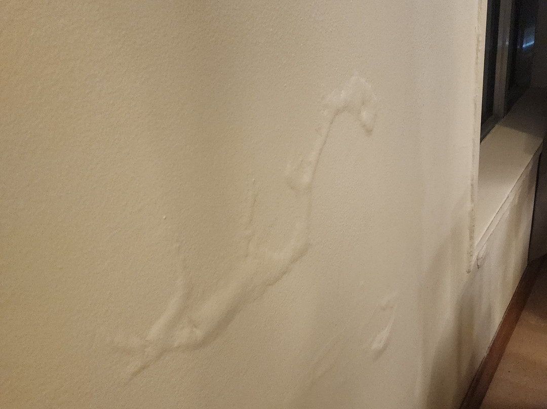 Julio Cesar Hotel主图