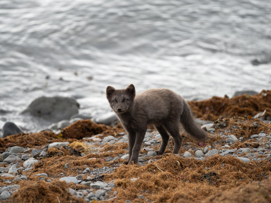 Borea Adventures-伊萨菲厄泽必去景点