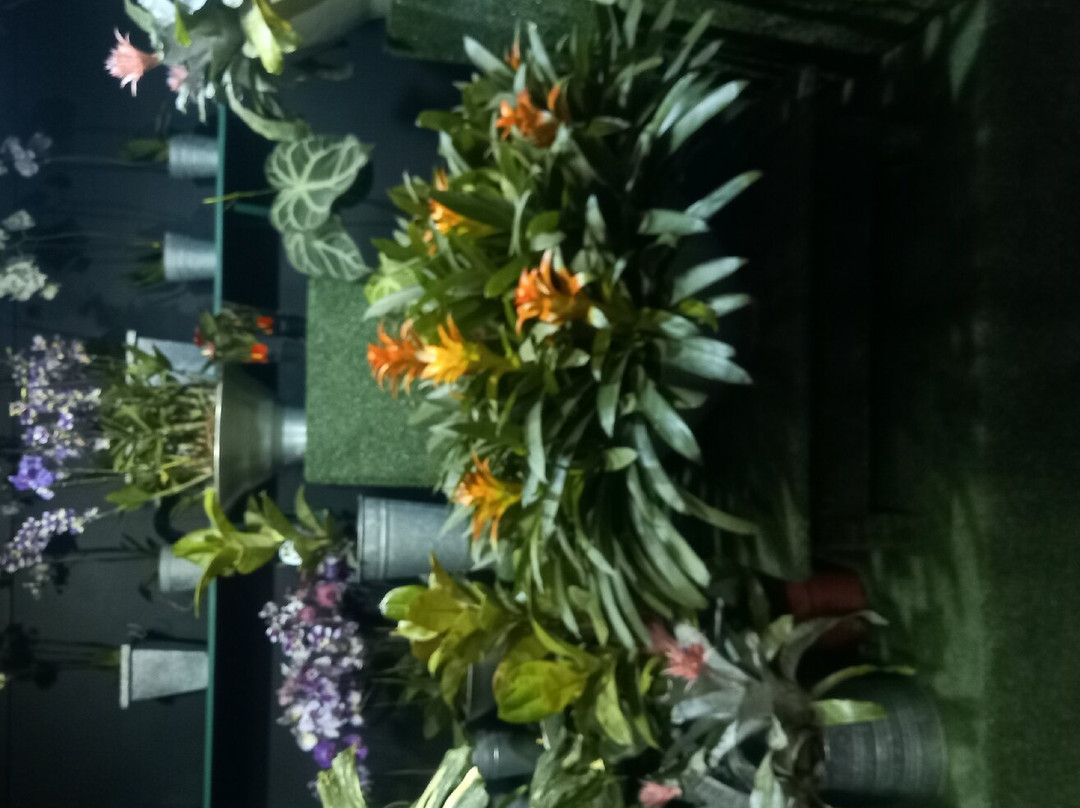 ExpoFlora景点图片