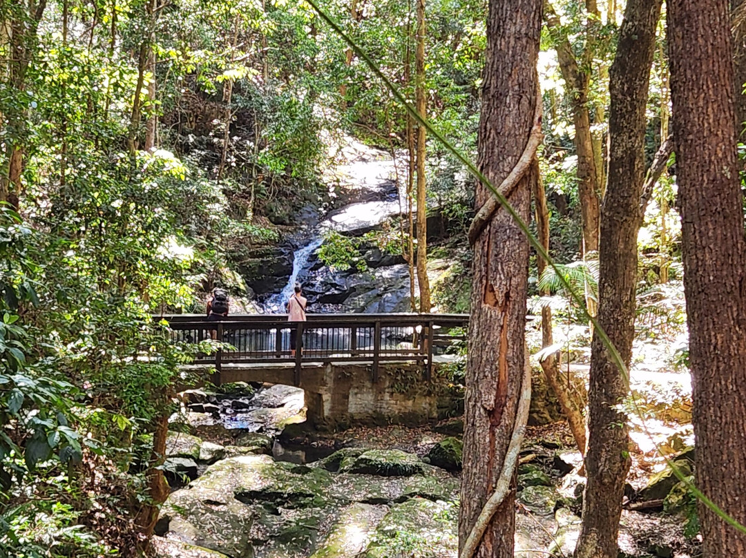 The Falls Montville主图