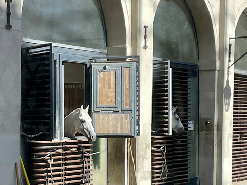 Good Vienna Tours-维也纳必去景点