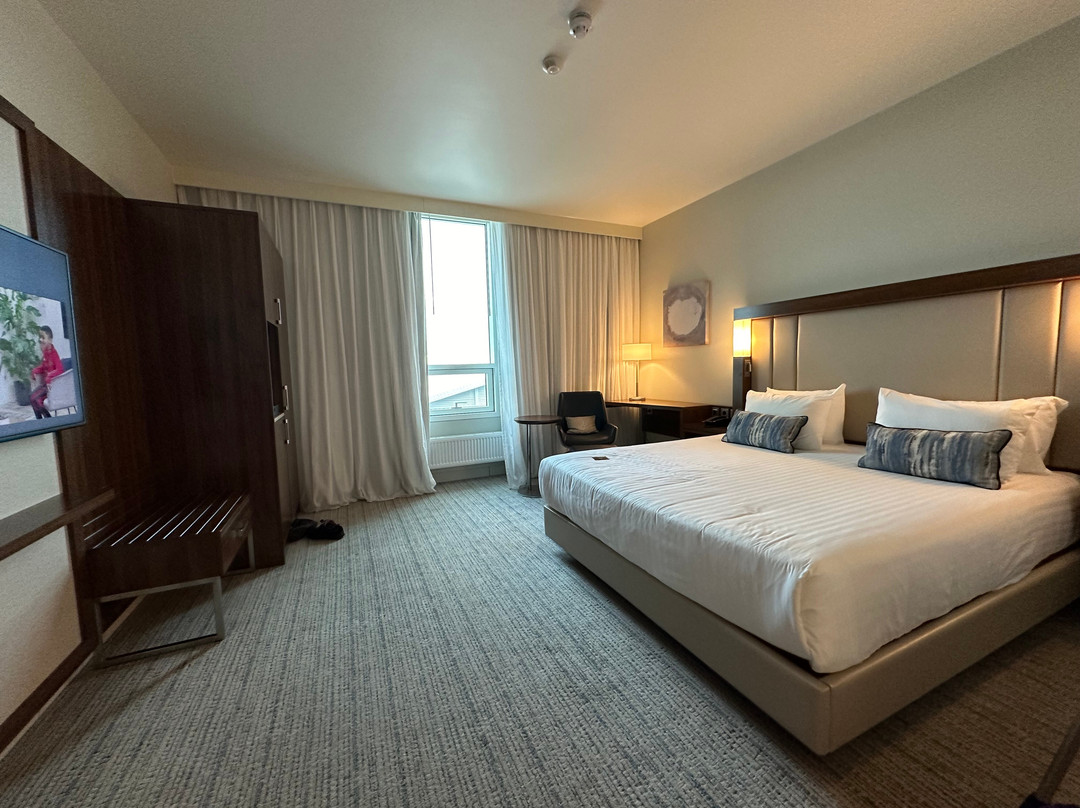 Courtyard Reykjavik Keflavik Airport主图