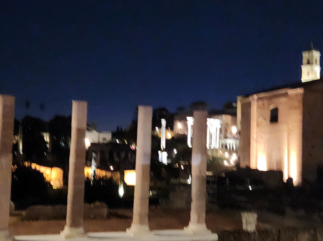 I Viaggi di Adriano di Unconventional Rome Tours-罗马必去景点