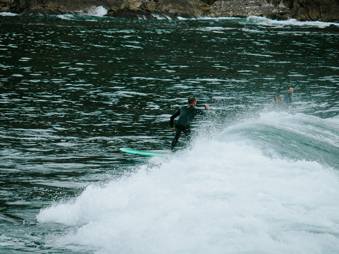 Vibe Surf School-Victoria Bay必去景点
