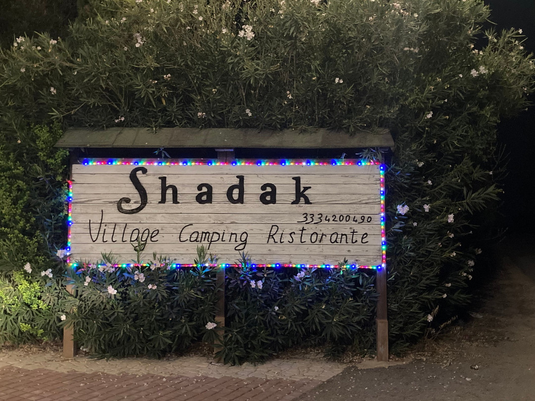 B&B Shadak主图