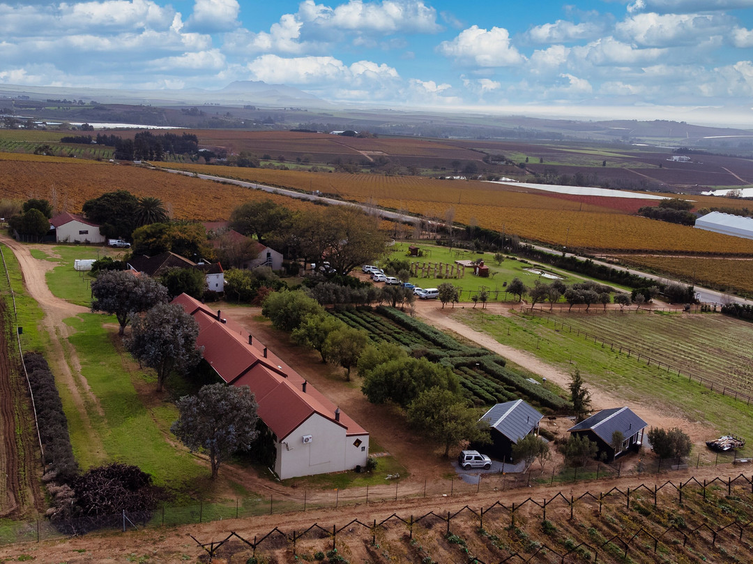 Windmeul酒店住宿-Nine Oaks