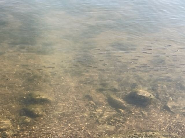 Heritage Trail-麦迪逊必去景点