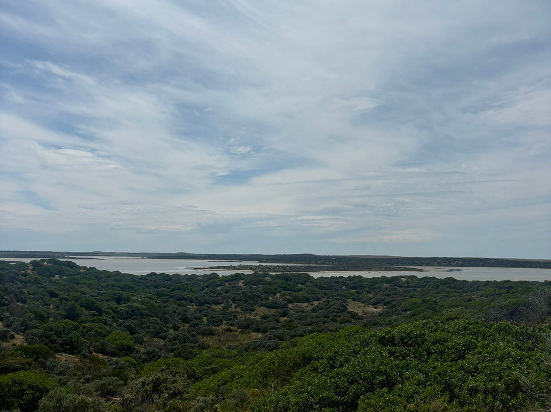 Coorong Wildside Tours-Meningie必去景点