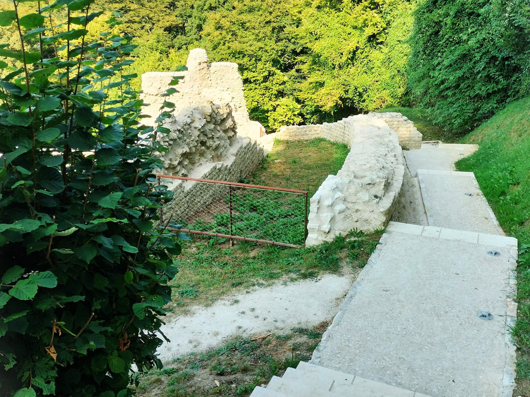 Théâtre Gallo-Romain des Bouchauds景点图片