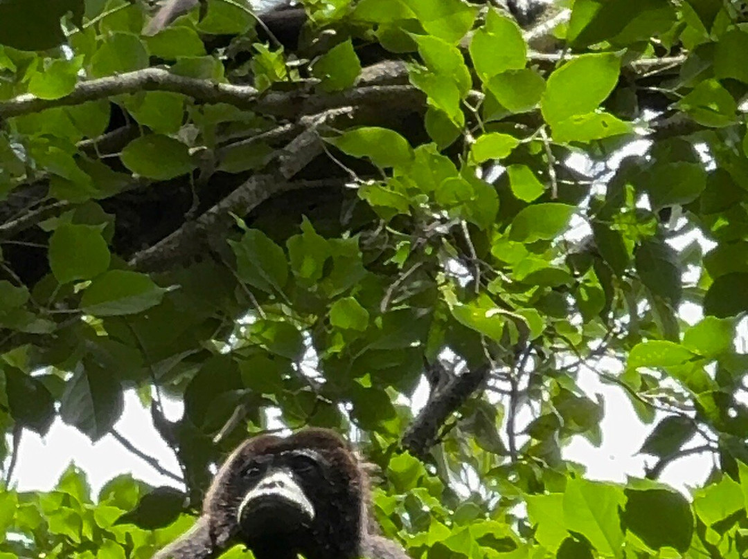 Agutipaca Bungalows主图