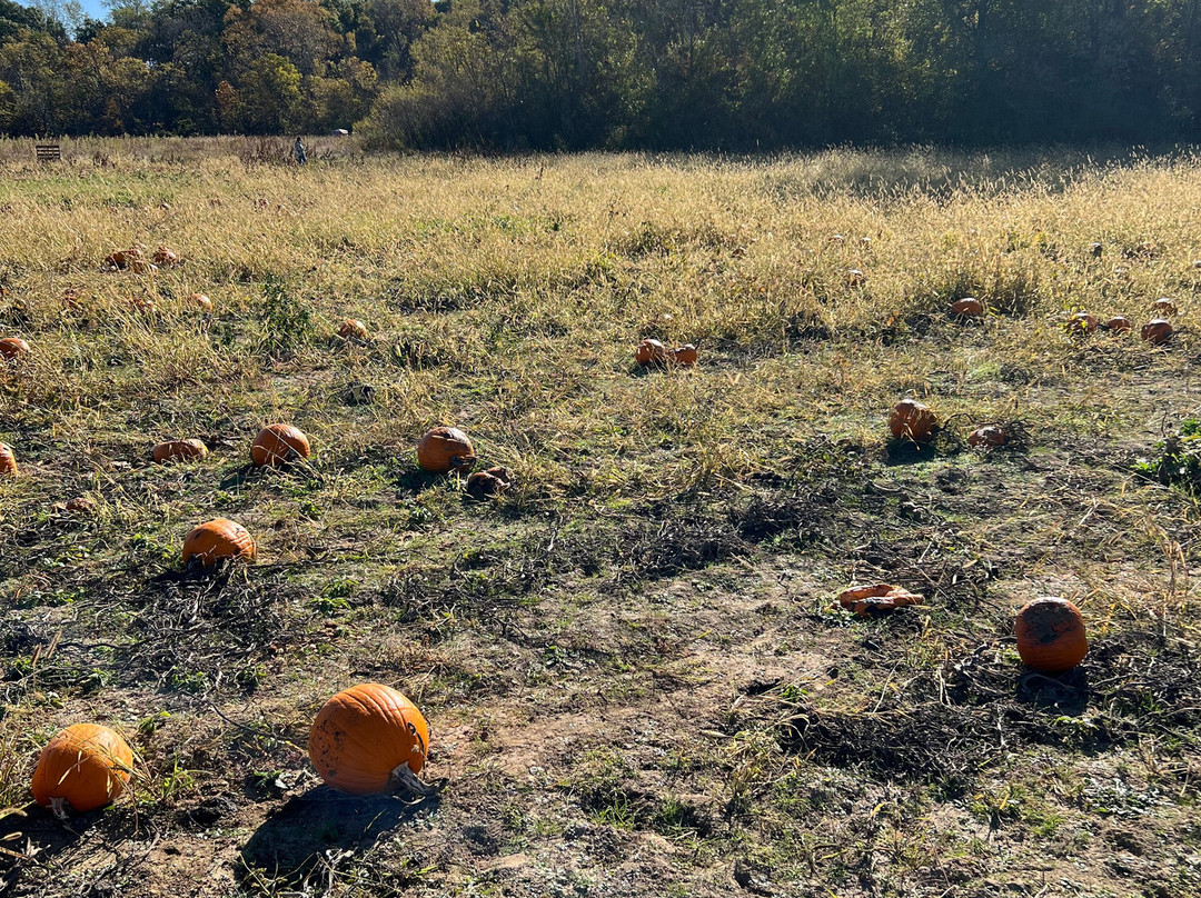 The Apple Works-Trafalgar必去景点