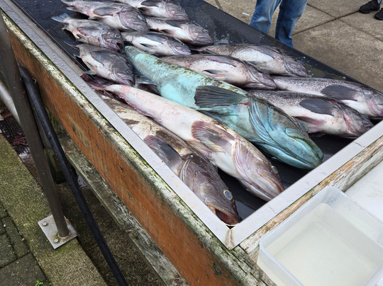 Dockside Charters-Depoe Bay必去景点