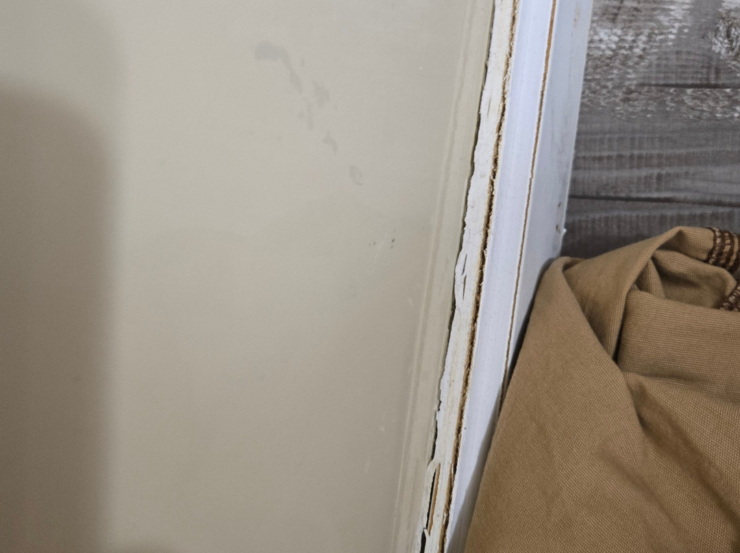 Revel Minot, SureStay Collection By Best Western主图