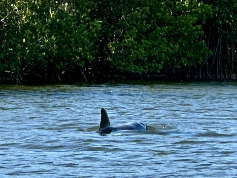 Cocoa Beach Kayaking-可可海滩必去景点