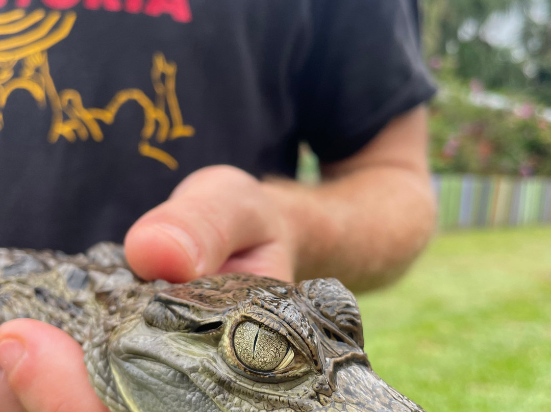 Jungle Jim Tours-伊基托斯必去景点