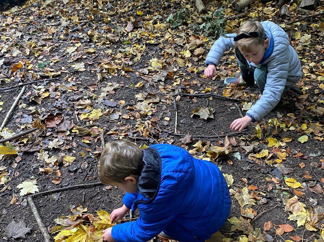 Bromley Parks Environmental Education景点图片