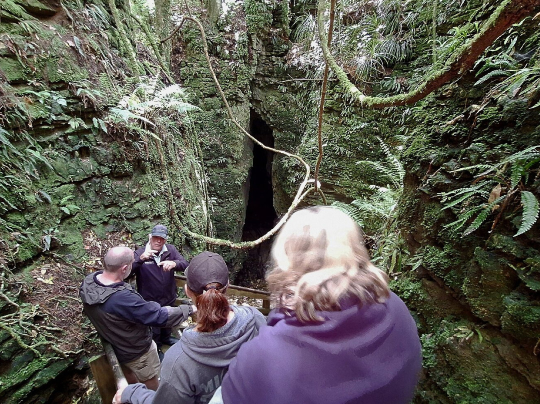 Footwhistle Glowworm Cave-怀托摩洞穴必去景点