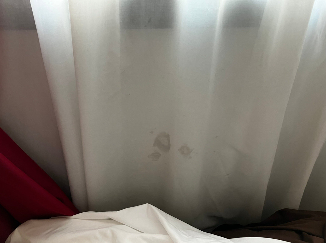 Hotel Executive Forli主图