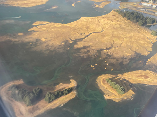 Morning Wood Hotel主图