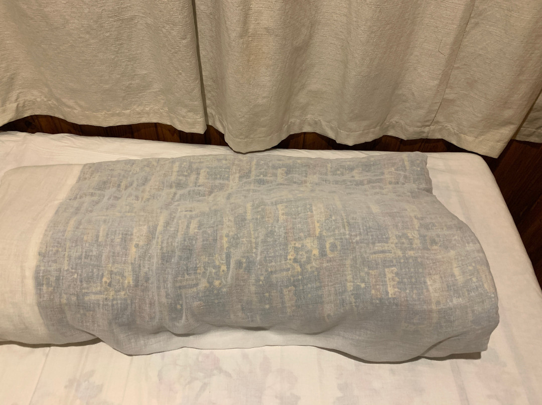 巴克塔普尔酒店主图