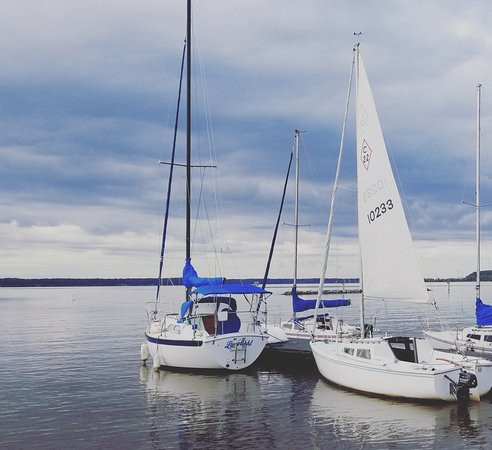 Northern Virginia Sailing School景点图片