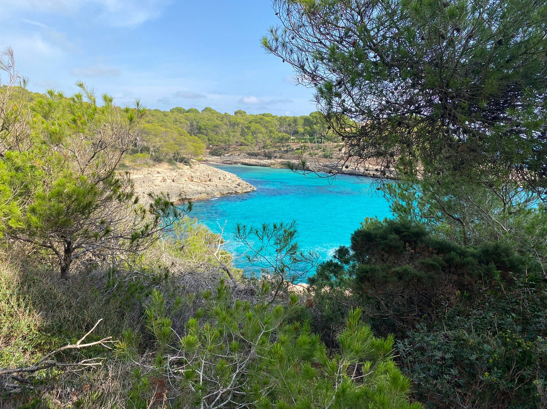 Parc Natural De Mondragó-桑塔尼必去景点