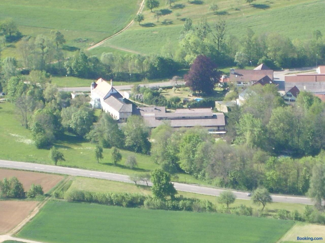 Steinenkirch旅游攻略图片