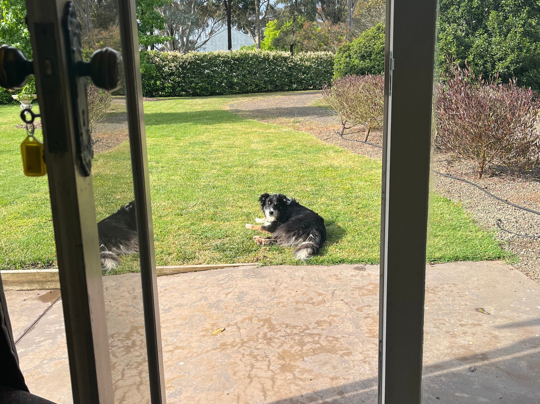 Pierrepoint Accommodation主图