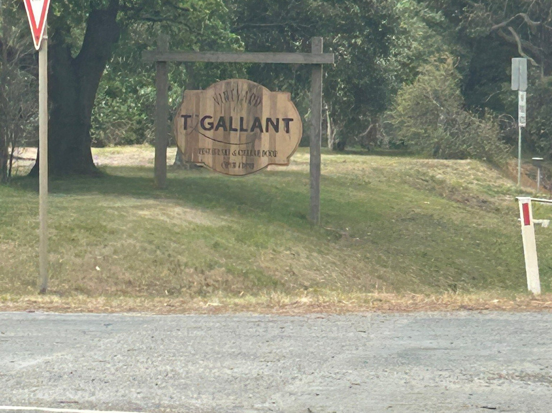 T'Gallant Vineyard景点图片