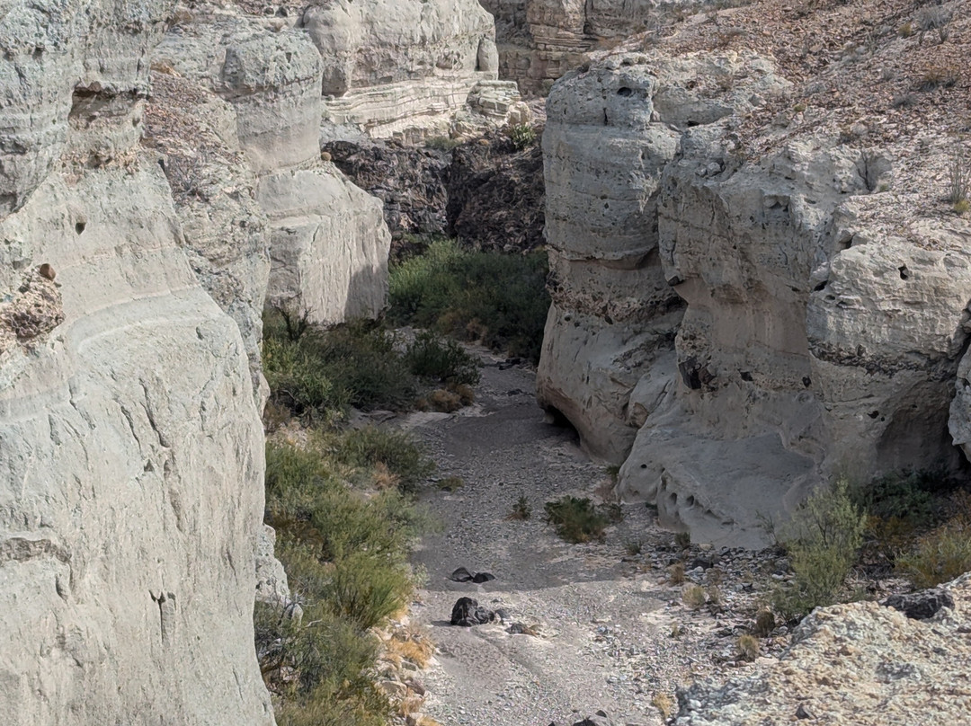 Ross Maxwell Scenic Drive景点图片