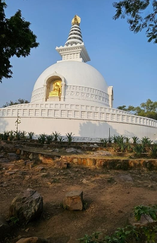 Vishwa Shanti Stupa景点图片