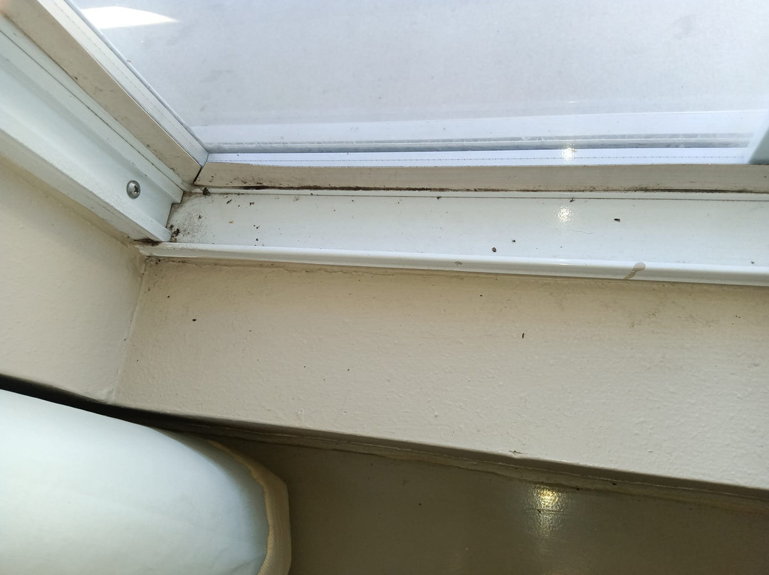 Baymont by Wyndham Waycross主图