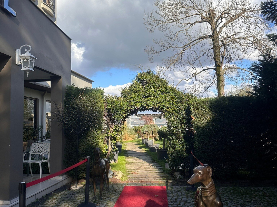 Lale Boutique Hotel主图