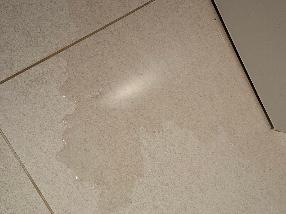 帕拉多尔爱库博拉瓦酒店主图