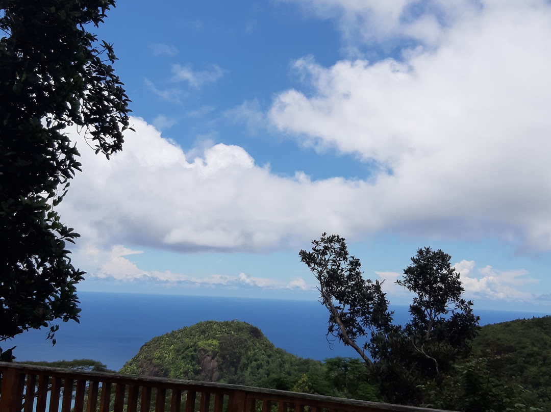 Mission Lodge Lookout景点图片