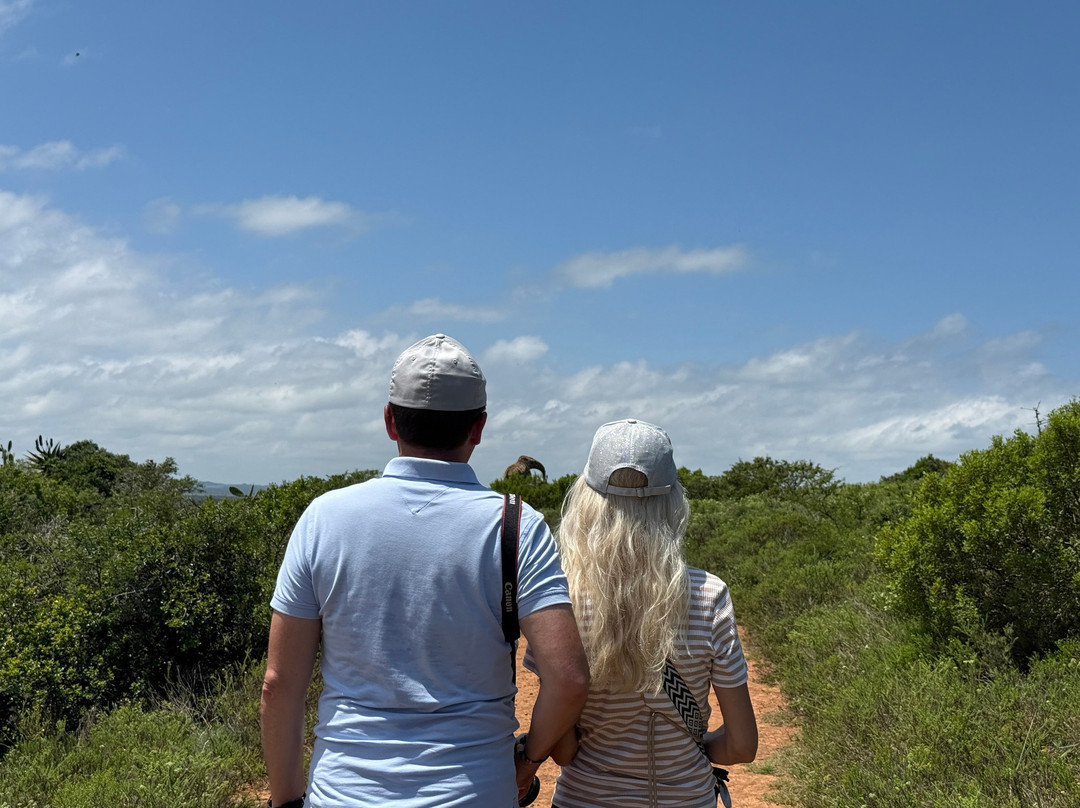 Kariega Game Reserve - River Lodge主图