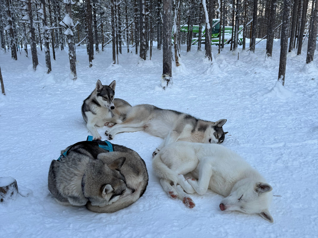 Happy Huskies-伊瓦洛必去景点
