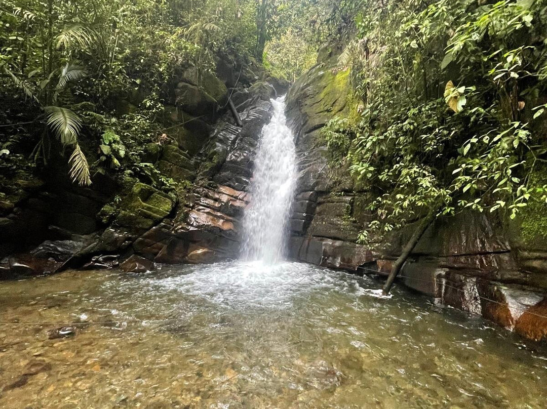 Eco Hotel La Cabana主图