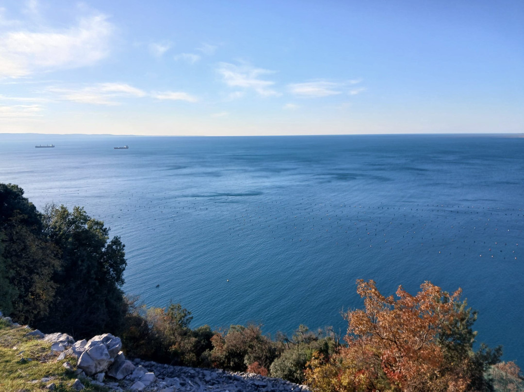 Spiaggia Costa dei Barbari景点图片