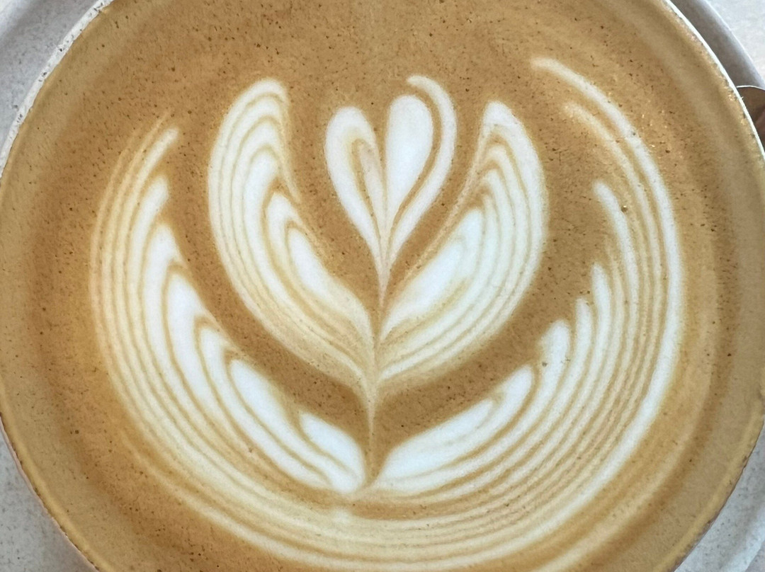 Tulip - Specialty Coffee & Brunch